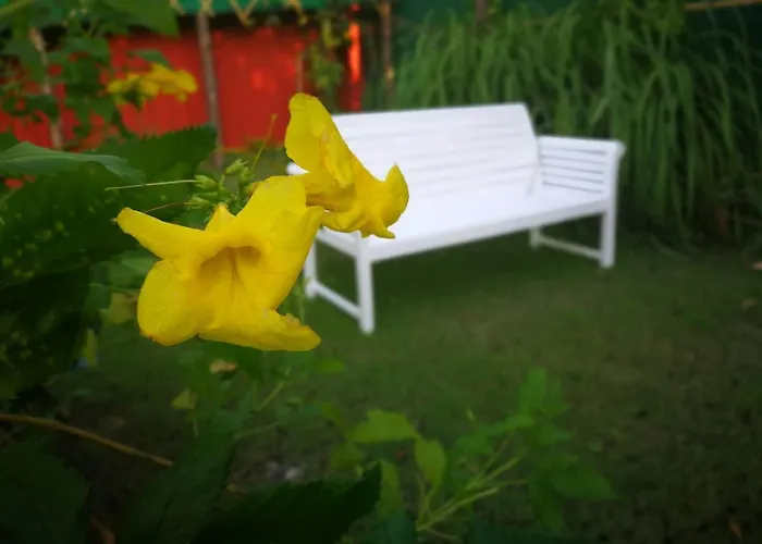 Barefeet Naturist (adults Only) 4* Bangkok